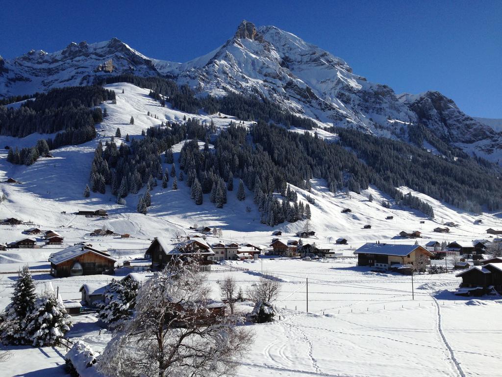 Chalet Butterfly Adelboden Ruang foto